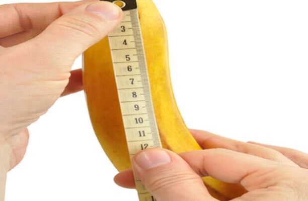 medindo um pênis antes de aumentá-lo usando o exemplo de uma banana