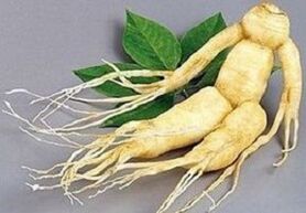 Raiz de Ginseng para fazer infusão